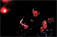Live at The Garage, London - 3