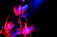 Live at The Garage, London - 16